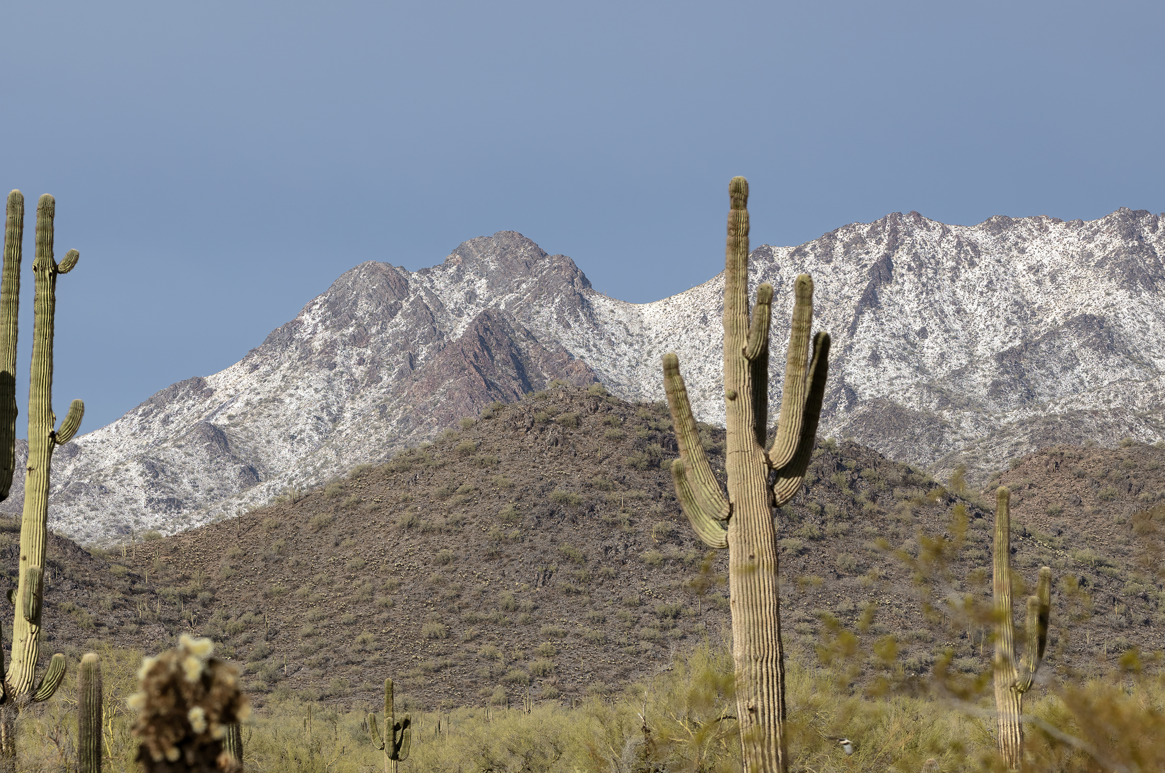 Snow-capped McDowell Mountains