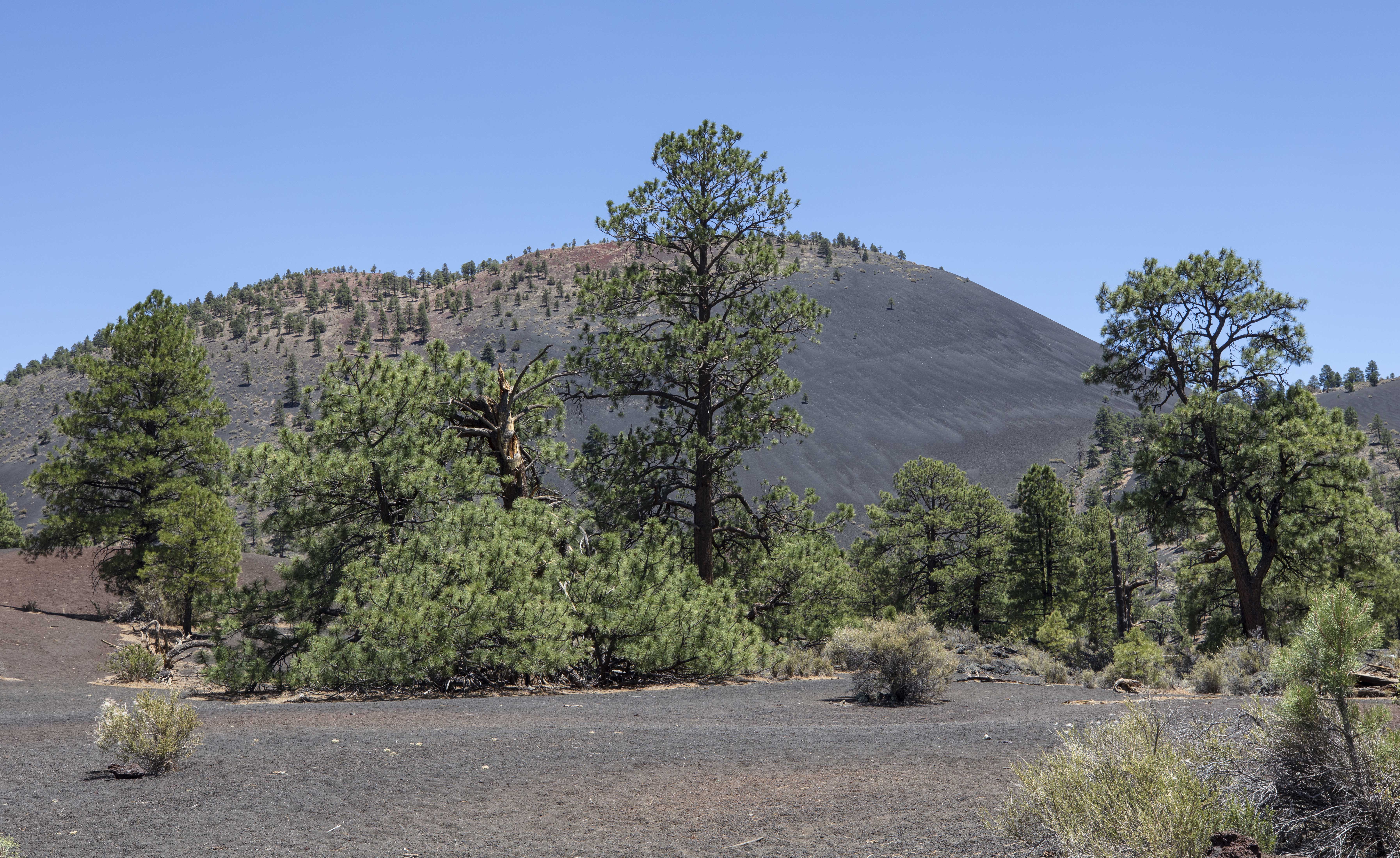 Sunset Crater 13