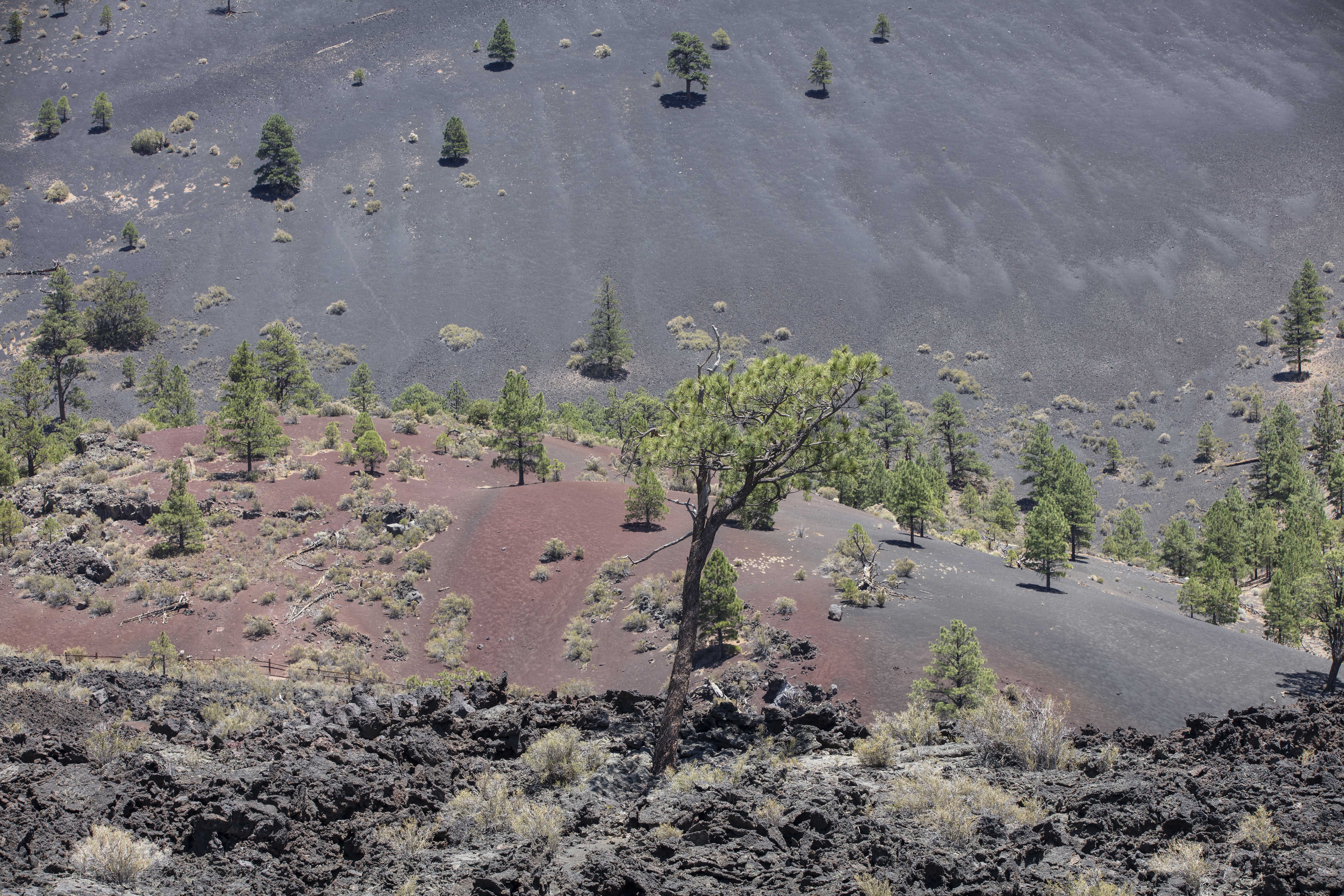 Sunset Crater 8