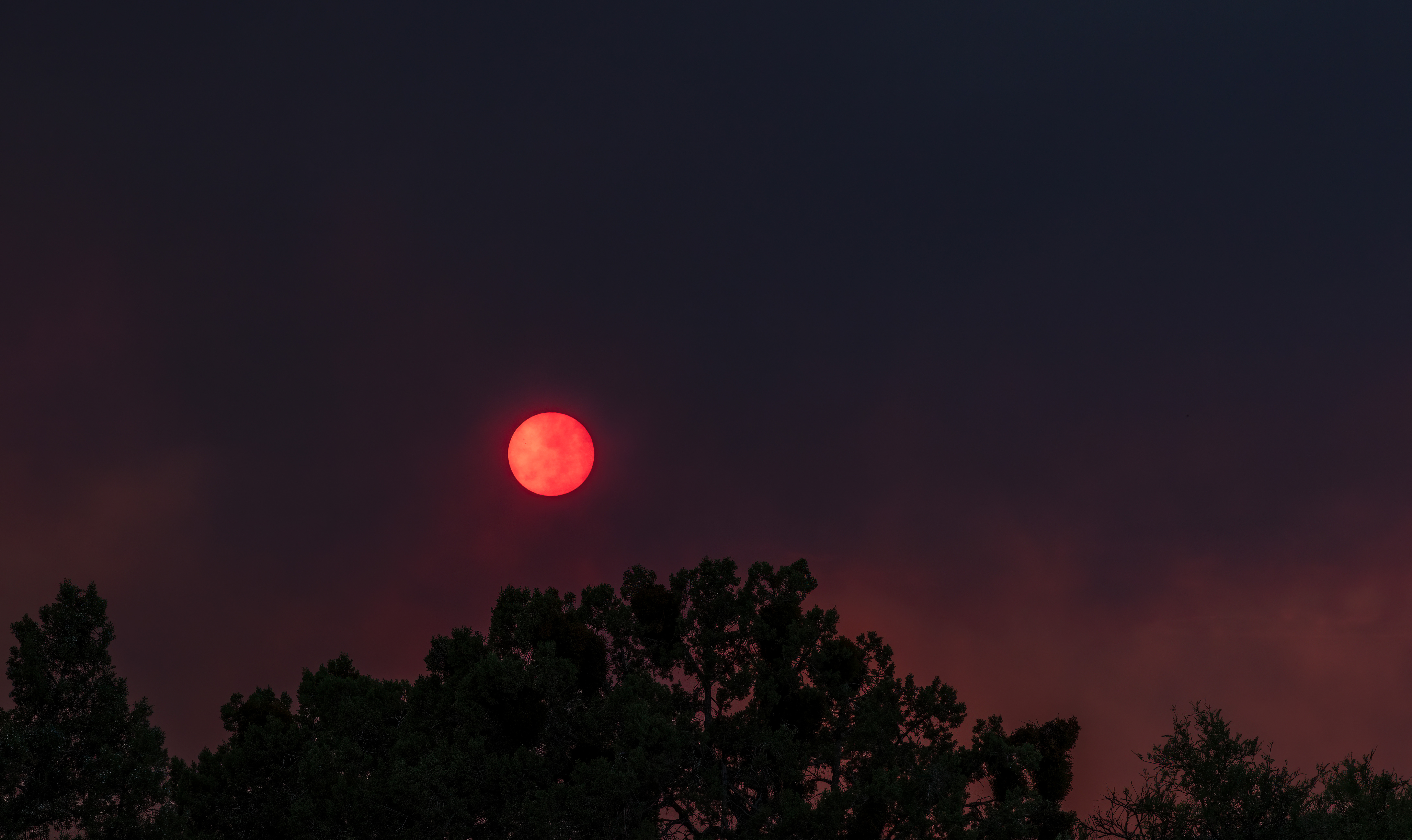 The sun as seen through wild fire smoke