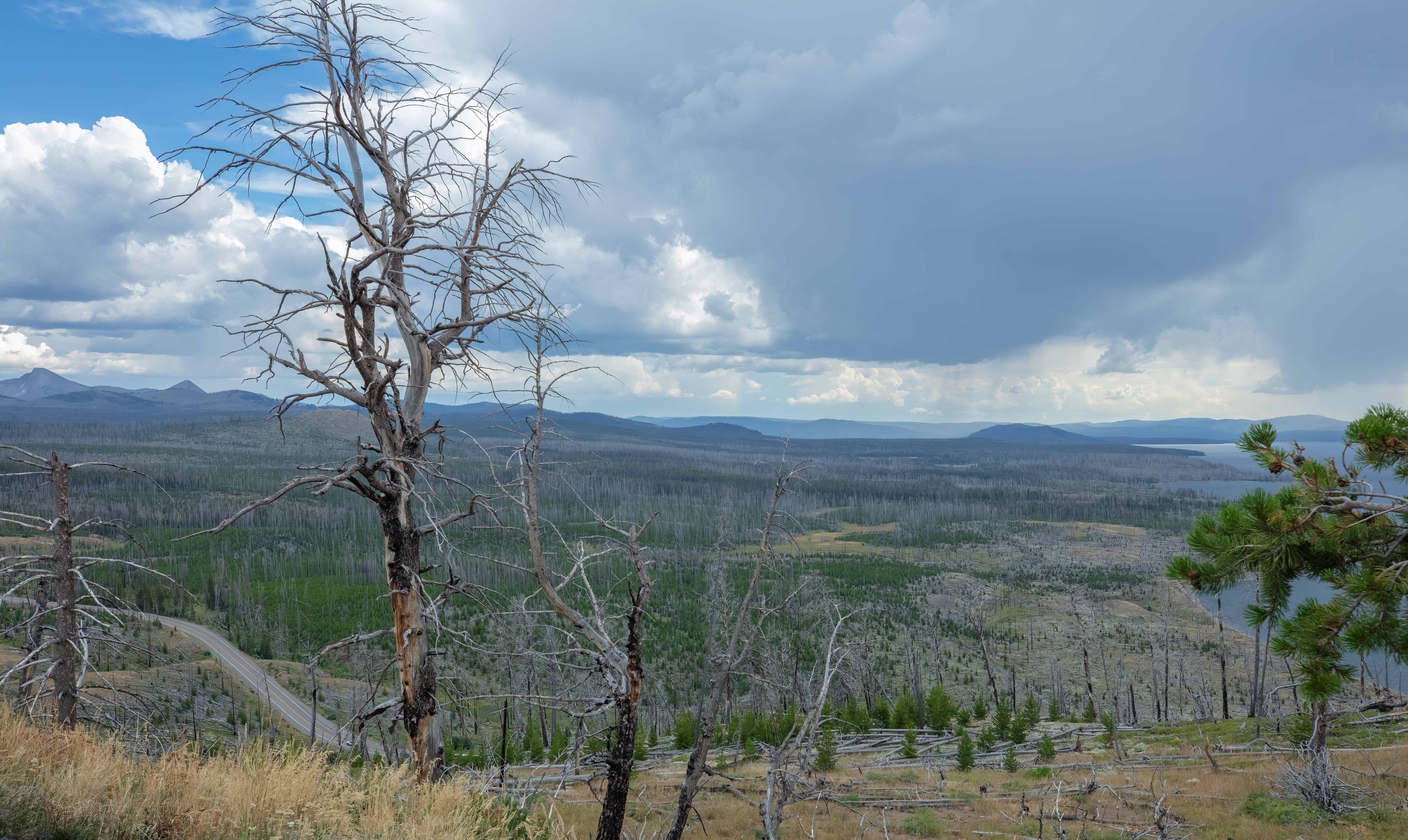 Scenic overlook in Yellowstone National Park