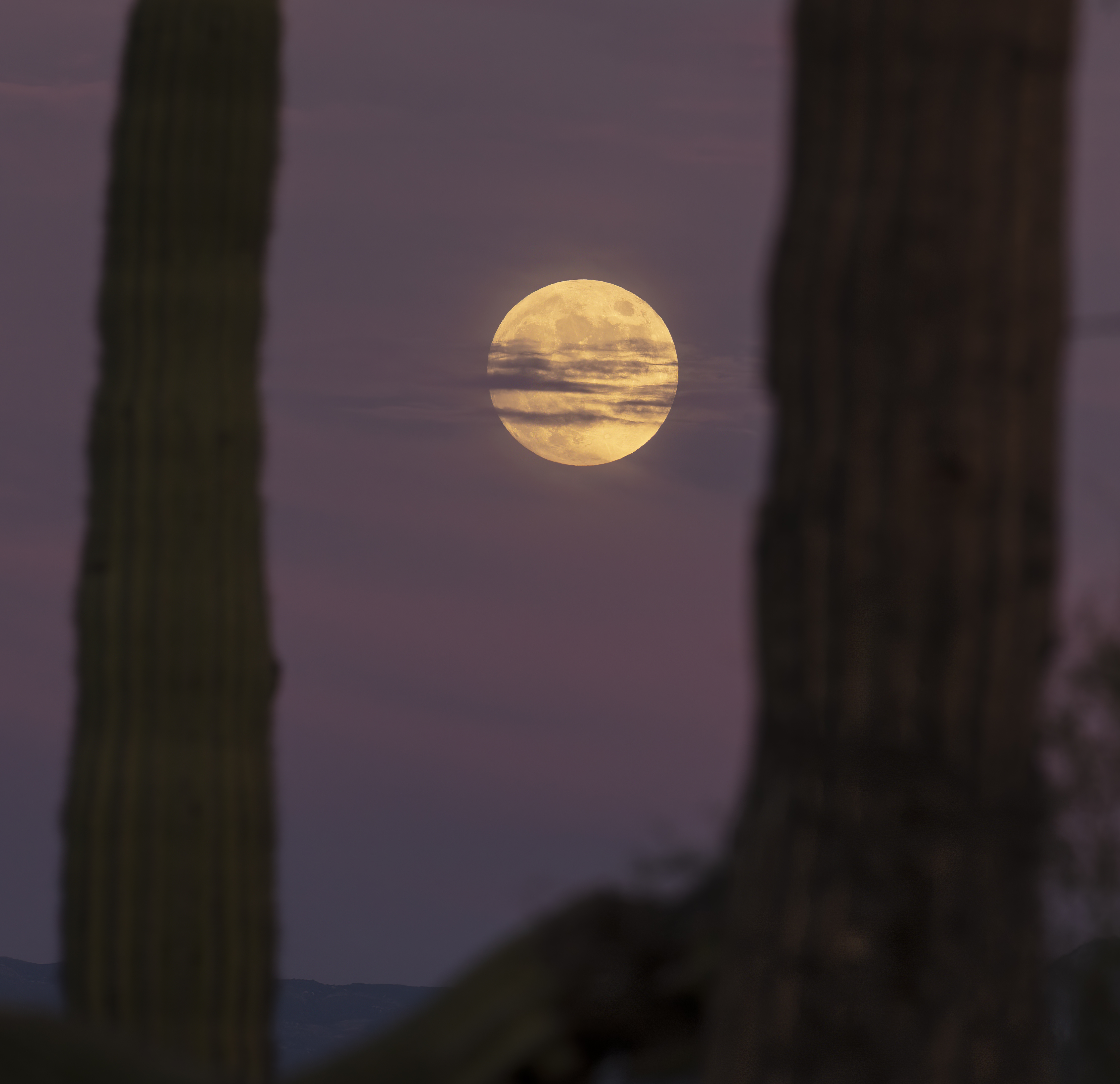 Moon rise in the east