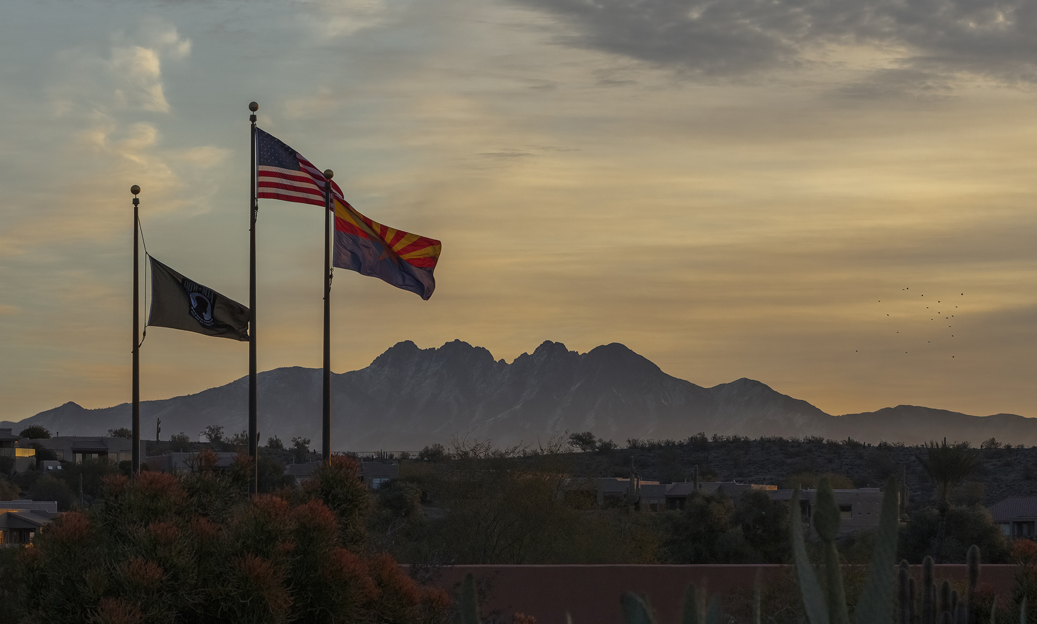 Four Peaks from Fountain Park